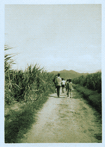 a family walking through fields